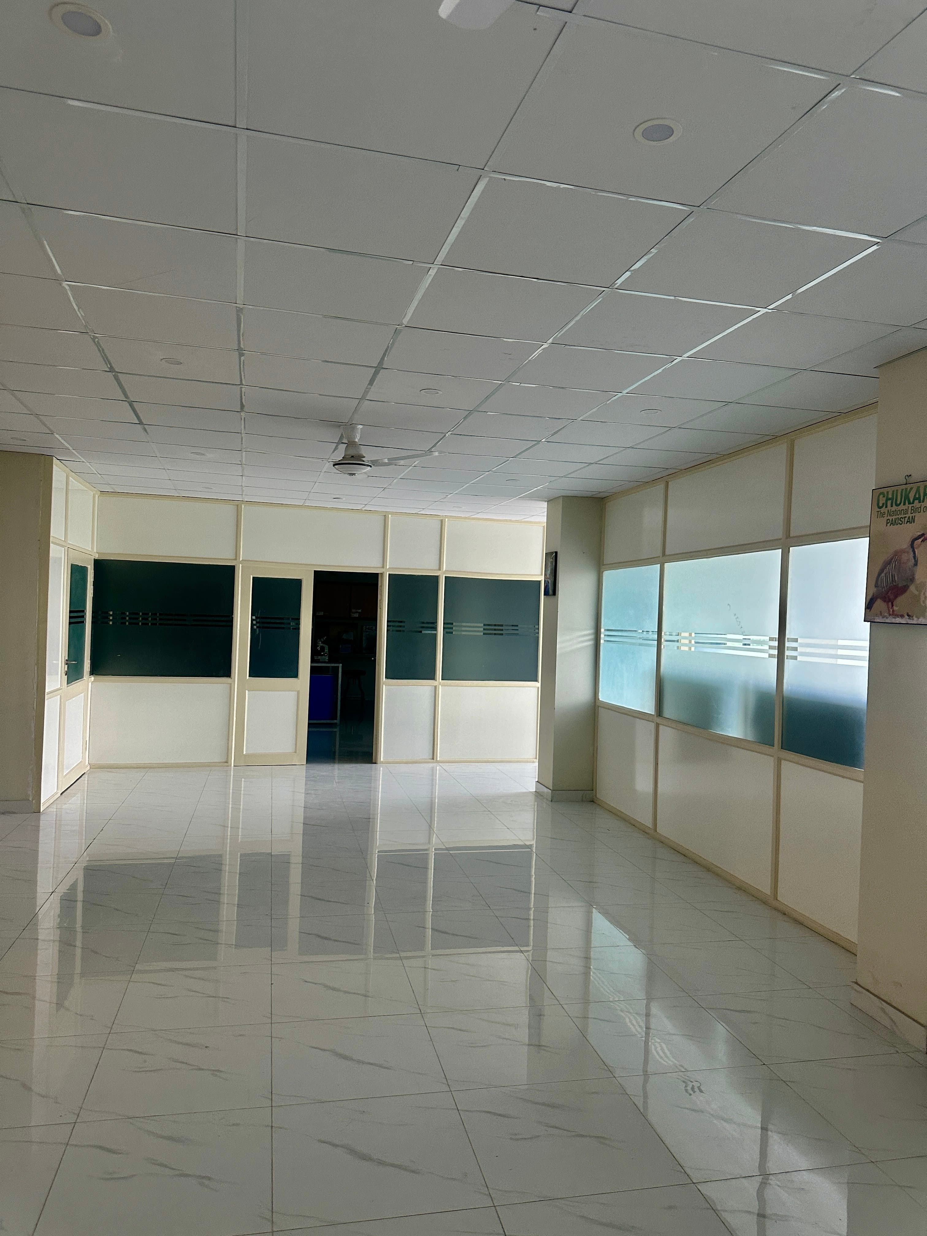 vu pindi renovation